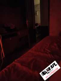 双飞梅花园阳阳和薇薇